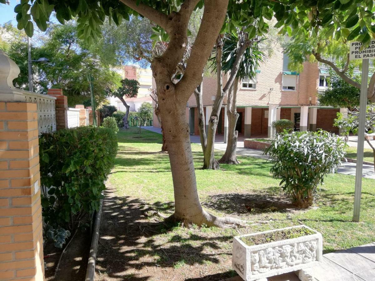 Aurora Malaga
